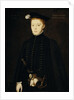 Henry Stuart, Lord Darnley, 1545 - 1567. Consort of Mary, Queen of Scots by Hans Eworth